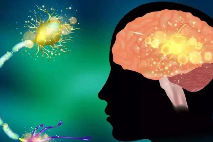 Stroke and Paralysis Treatment